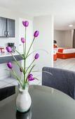 Туры в отель Howard Johnson Leon Avenida Туры в отель Howard Johnson Leon Avenida