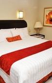 Туры в отель Howard Johnson Leon Avenida Туры в отель Howard Johnson Leon Avenida