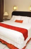 Туры в отель Howard Johnson Leon Avenida Туры в отель Howard Johnson Leon Avenida