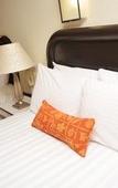 Туры в отель Howard Johnson Leon Avenida Туры в отель Howard Johnson Leon Avenida
