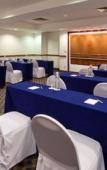 Туры в отель Holiday Inn Puebla La Noria by IHG Туры в отель Holiday Inn Puebla La Noria by IHG