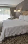 Туры в отель Holiday Inn Queretaro-Centro Historico by IHG Туры в отель Holiday Inn Queretaro-Centro Historico by IHG