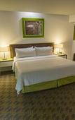 Туры в отель Holiday Inn Queretaro Zona Krystal by IHG Туры в отель Holiday Inn Queretaro Zona Krystal by IHG
