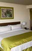 Туры в отель Holiday Inn Queretaro Zona Krystal by IHG Туры в отель Holiday Inn Queretaro Zona Krystal by IHG