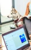 Туры в отель MO17 Hotel Boutique Туры в отель MO17 Hotel Boutique
