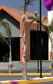Туры в отель Holiday Inn Express Hotel San Juan del Rio Туры в отель Holiday Inn Express Hotel San Juan del Rio