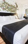 Туры в отель HI Hotel Impala Туры в отель HI Hotel Impala