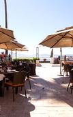 Туры в отель Estero Beach Hotel & Resort Туры в отель Estero Beach Hotel & Resort