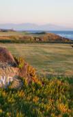 Туры в отель Hacienda Bajamar Golf Resort Туры в отель Hacienda Bajamar Golf Resort