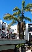Туры в отель Best Western El Cid Туры в отель Best Western El Cid