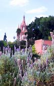 Туры в отель Hacienda El Santuario San Miguel de Allende Туры в отель Hacienda El Santuario San Miguel de Allende