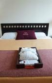 Туры в отель Hotel Victoria Poza Rica by Brahma Туры в отель Hotel Victoria Poza Rica by Brahma