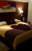 Туры в отель Hotel Victoria Poza Rica by Brahma Туры в отель Hotel Victoria Poza Rica by Brahma