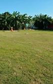 Туры в отель Hotel Hacienda Inn Aeropuerto Туры в отель Hotel Hacienda Inn Aeropuerto