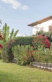 Туры в отель Best Western Plus Posada de Don Vasco Туры в отель Best Western Plus Posada de Don Vasco