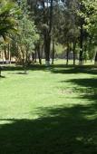 Туры в отель Hotel Finca Las Hortensias Туры в отель Hotel Finca Las Hortensias