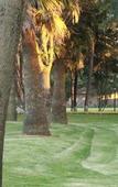 Туры в отель Hotel Finca Las Hortensias Туры в отель Hotel Finca Las Hortensias