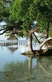 Туры в отель Hotel Rancho Encantado Туры в отель Hotel Rancho Encantado