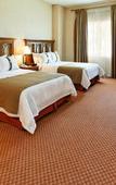 Туры в отель Holiday Inn MATAMOROS by IHG Туры в отель Holiday Inn MATAMOROS by IHG