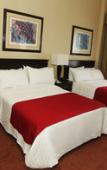 Туры в отель Holiday Inn MATAMOROS by IHG Туры в отель Holiday Inn MATAMOROS by IHG