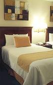 Туры в отель Quality Inn Piedras Negras Туры в отель Quality Inn Piedras Negras
