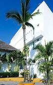 Туры в отель Best Western Plus Luna del Mar Туры в отель Best Western Plus Luna del Mar