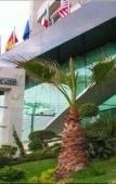Туры в отель Hotel Scala Magna Туры в отель Hotel Scala Magna