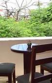 Туры в отель Hotel Handall Cancun Туры в отель Hotel Handall Cancun