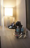 Туры в отель Hotel Glow Point - Mulza Туры в отель Hotel Glow Point - Mulza