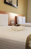 Туры в отель AM Hotel & Plaza Туры в отель AM Hotel & Plaza
