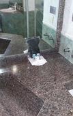 Туры в отель Hotel Hollywood Туры в отель Hotel Hollywood