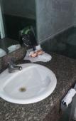 Туры в отель Hotel Hollywood Туры в отель Hotel Hollywood