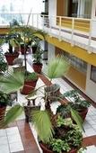 Туры в отель Hotel Mediterraneo Туры в отель Hotel Mediterraneo