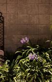 Туры в отель Hotel & Suites Aliana Туры в отель Hotel & Suites Aliana