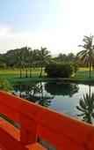 Туры в отель Canadian Resorts Nuevo Vallarta Туры в отель Canadian Resorts Nuevo Vallarta