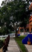 Туры в отель Canadian Resorts Nuevo Vallarta Туры в отель Canadian Resorts Nuevo Vallarta