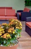 Туры в отель Hotel Posada del Virrey Туры в отель Hotel Posada del Virrey