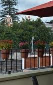 Туры в отель Hotel Posada del Virrey Туры в отель Hotel Posada del Virrey