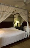 Туры в отель Quinta Maria Cortez Beach Hotel Туры в отель Quinta Maria Cortez Beach Hotel