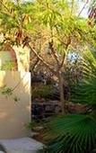 Туры в отель La Valise Los Cabos, Member of Small Luxury Hotels Туры в отель La Valise Los Cabos, Member of Small Luxury Hotels