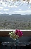 Туры в отель La Valise Los Cabos, Member of Small Luxury Hotels Туры в отель La Valise Los Cabos, Member of Small Luxury Hotels