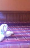 Туры в отель Hotel Real Azteca Туры в отель Hotel Real Azteca