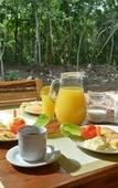 Туры в отель Aldea Coba a Comfortable Sleep in the Jungle Туры в отель Aldea Coba a Comfortable Sleep in the Jungle
