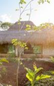 Туры в отель Aldea Coba a Comfortable Sleep in the Jungle Туры в отель Aldea Coba a Comfortable Sleep in the Jungle