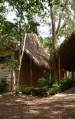 Туры в отель Aldea Coba a Comfortable Sleep in the Jungle Туры в отель Aldea Coba a Comfortable Sleep in the Jungle