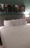 Туры в отель Hampton Inn Celaya Mexico Туры в отель Hampton Inn Celaya Mexico