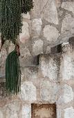 Туры в отель Coqui Coqui Papholchac Coba Residence & Spa Туры в отель Coqui Coqui Papholchac Coba Residence & Spa