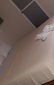 Туры в отель Hotel Ashly Туры в отель Hotel Ashly