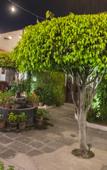 Туры в отель Casa Eva Hotel Boutique & Spa Туры в отель Casa Eva Hotel Boutique & Spa