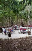 Туры в отель Aldea Maya-Ha Cabanas con cenotes Туры в отель Aldea Maya-Ha Cabanas con cenotes